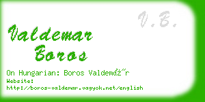 valdemar boros business card